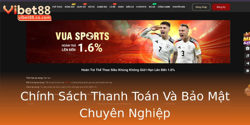 Chính Sách Thanh Toán Và Bảo Mật Chuyên Nghiệp Chính Sách Thanh Toán Và Bảo Mật Chuyên Nghiệp