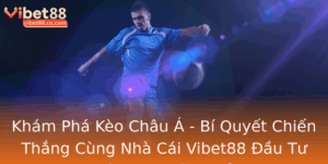 Kham Pha Keo Chau A Bi Quyet Chien Thang Cung Nha Cai Vibet88 Au Tu Ca Cuoc Hieu Qua