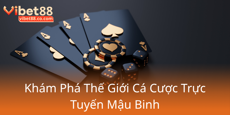 Khám Phá Thế Giới Mậu Binh - Đấu Trường Cá Cược Trực Tuyến Đỉnh Cao Cùng Vibet88 1 Kham Pha The Gioi Ca Cuoc Truc Tuyen Mau Binh0