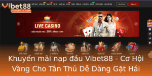 Khuyen Mai Nap Au Vibet88 Co Hoi Vang Cho Tan Thu De Dang Gat Hai Thuong Thuc