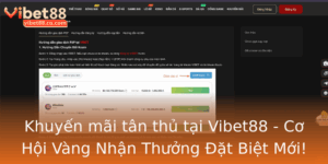 Khuyen Mai Tan Thu Tai Vibet88 Co Hoi Vang Nhan Thuong At Biet Moi