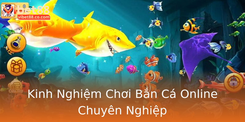 Kinh Nghiệm Chơi Bắn Cá Online Chuyên Nghiệp Kinh Nghiệm Chơi Bắn Cá Online Chuyên Nghiệp