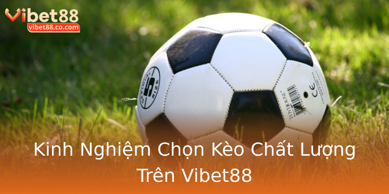 Kinh Nghiệm Chọn Kèo Chất Lượng Trên Vibet88 Kinh Nghiệm Chọn Kèo Chất Lượng Trên Vibet88
