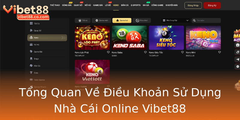 Tổng Quan Về Điều Khoản Sử Dụng Nhà Cái Online Vibet88 Tổng Quan Về Điều Khoản Sử Dụng Nhà Cái Online Vibet88