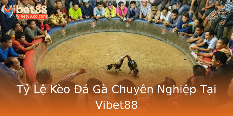 Tỷ Lệ Kèo Đá Gà Chuyên Nghiệp Tại Vibet88 Tỷ Lệ Kèo Đá Gà Chuyên Nghiệp Tại Vibet88